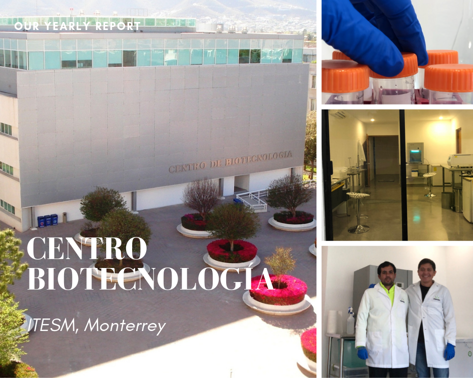 colaboración mimex itesm